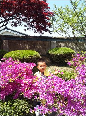 IMG_20170428_130825.jpg