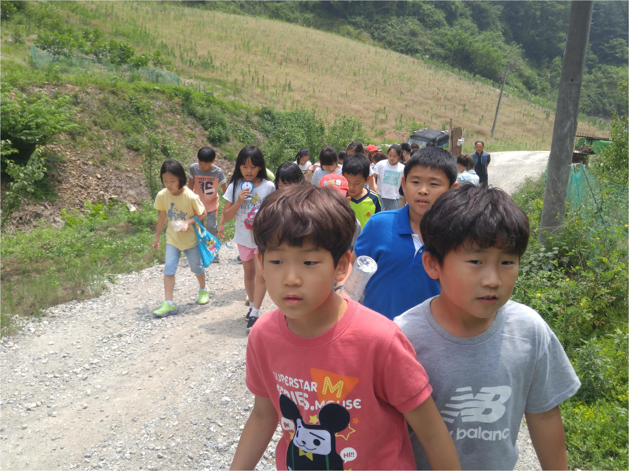 산길오르기- 친구들과 즐겁게 올라갔어요