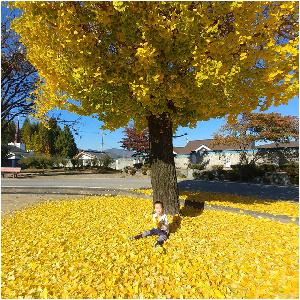 20171031_102045.jpg