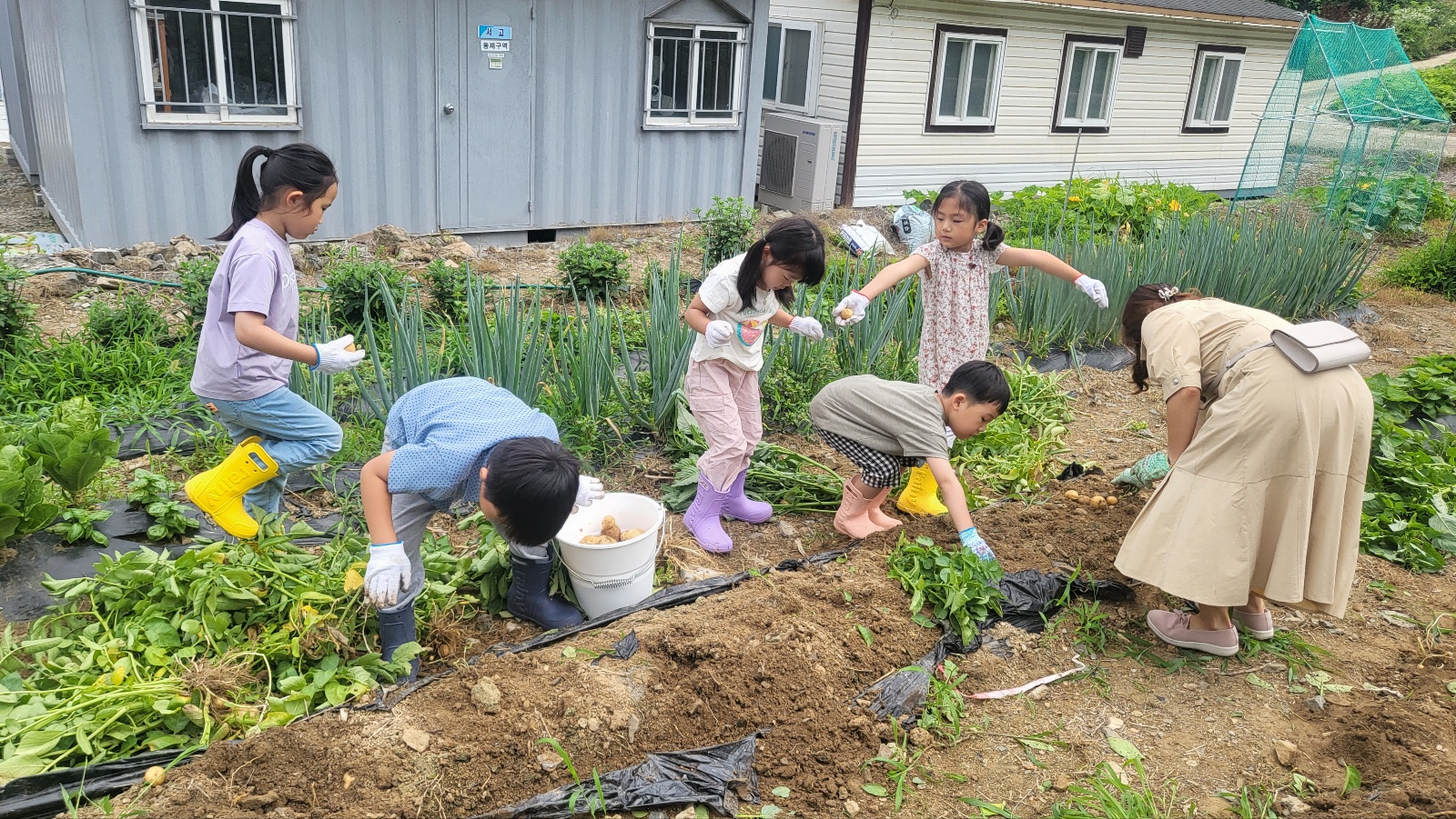 KakaoTalk_20250624_100603513_05.jpg